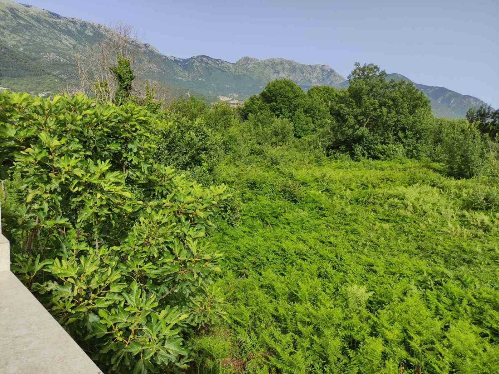 Green Valley Kotor Zewnętrze zdjęcie