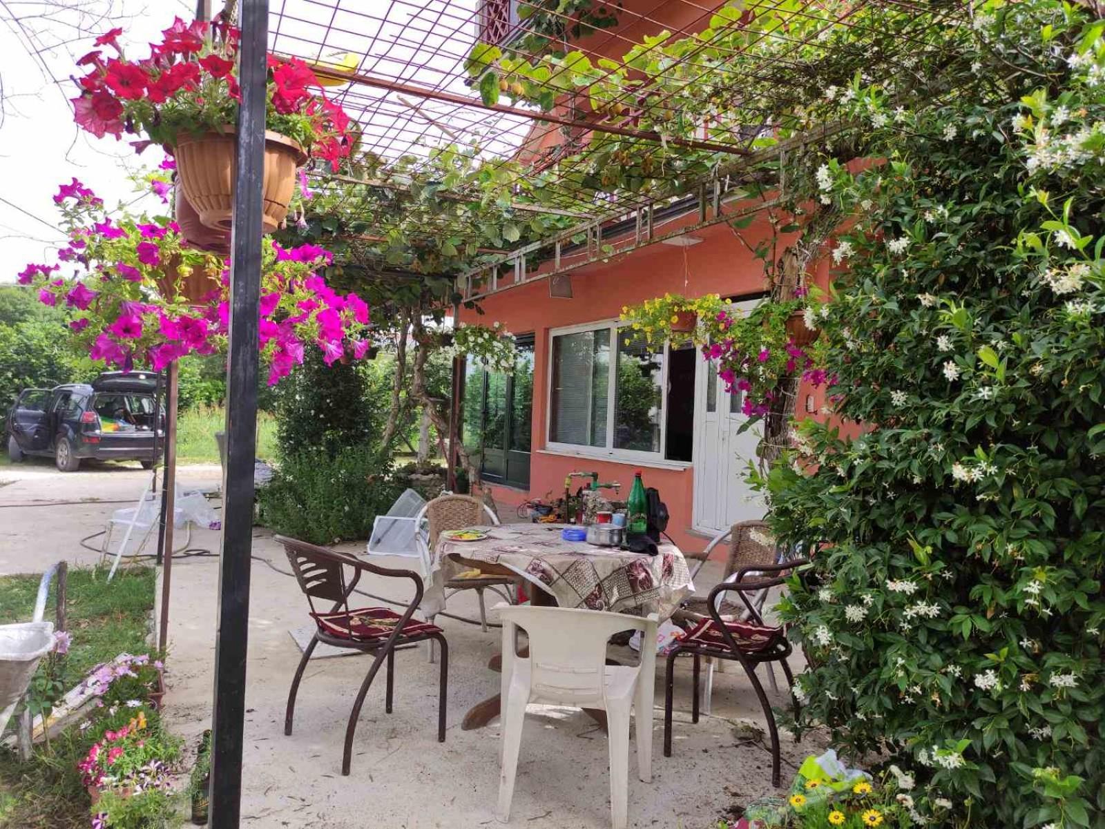 Green Valley Kotor Zewnętrze zdjęcie