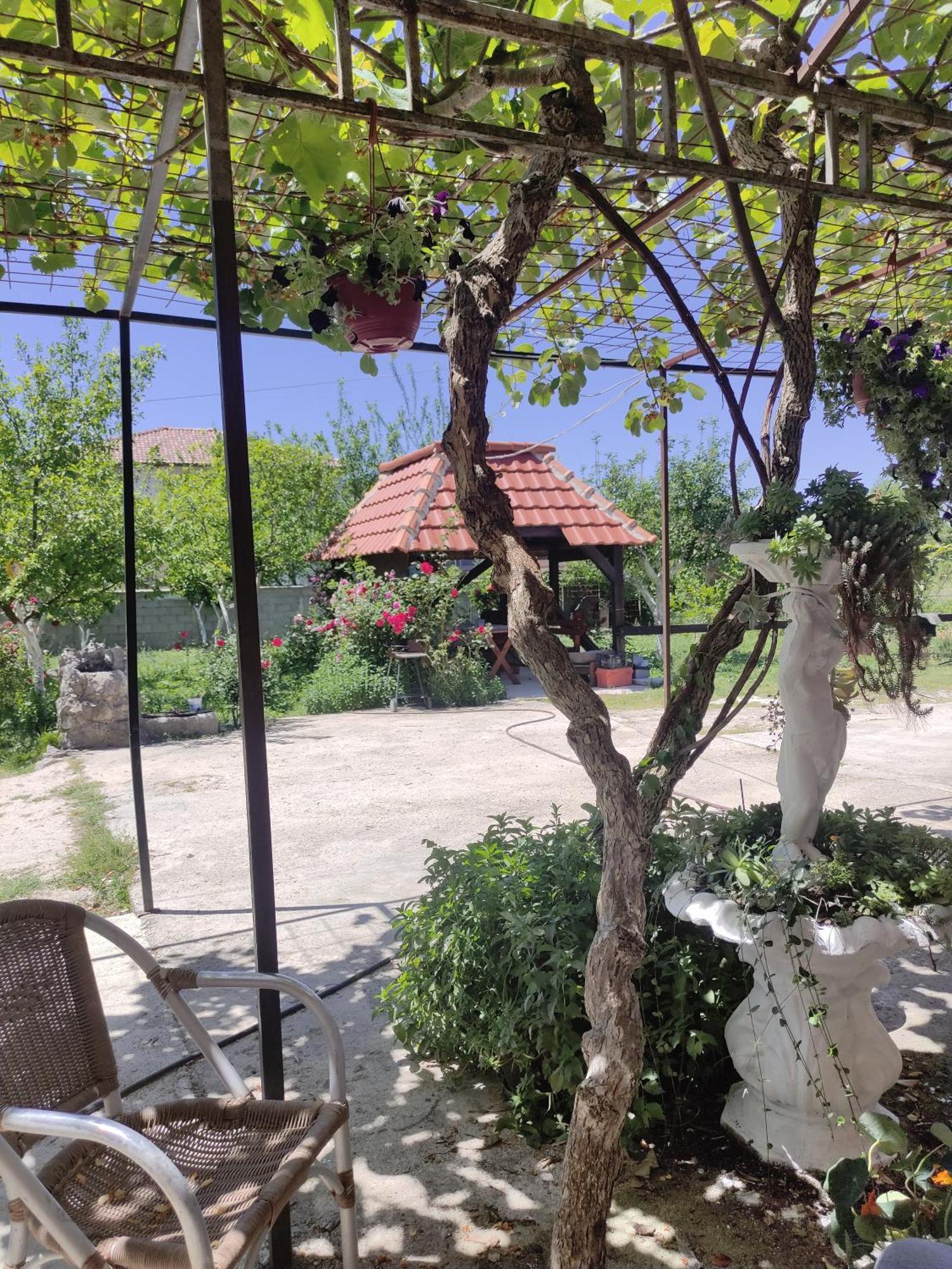 Green Valley Kotor Zewnętrze zdjęcie