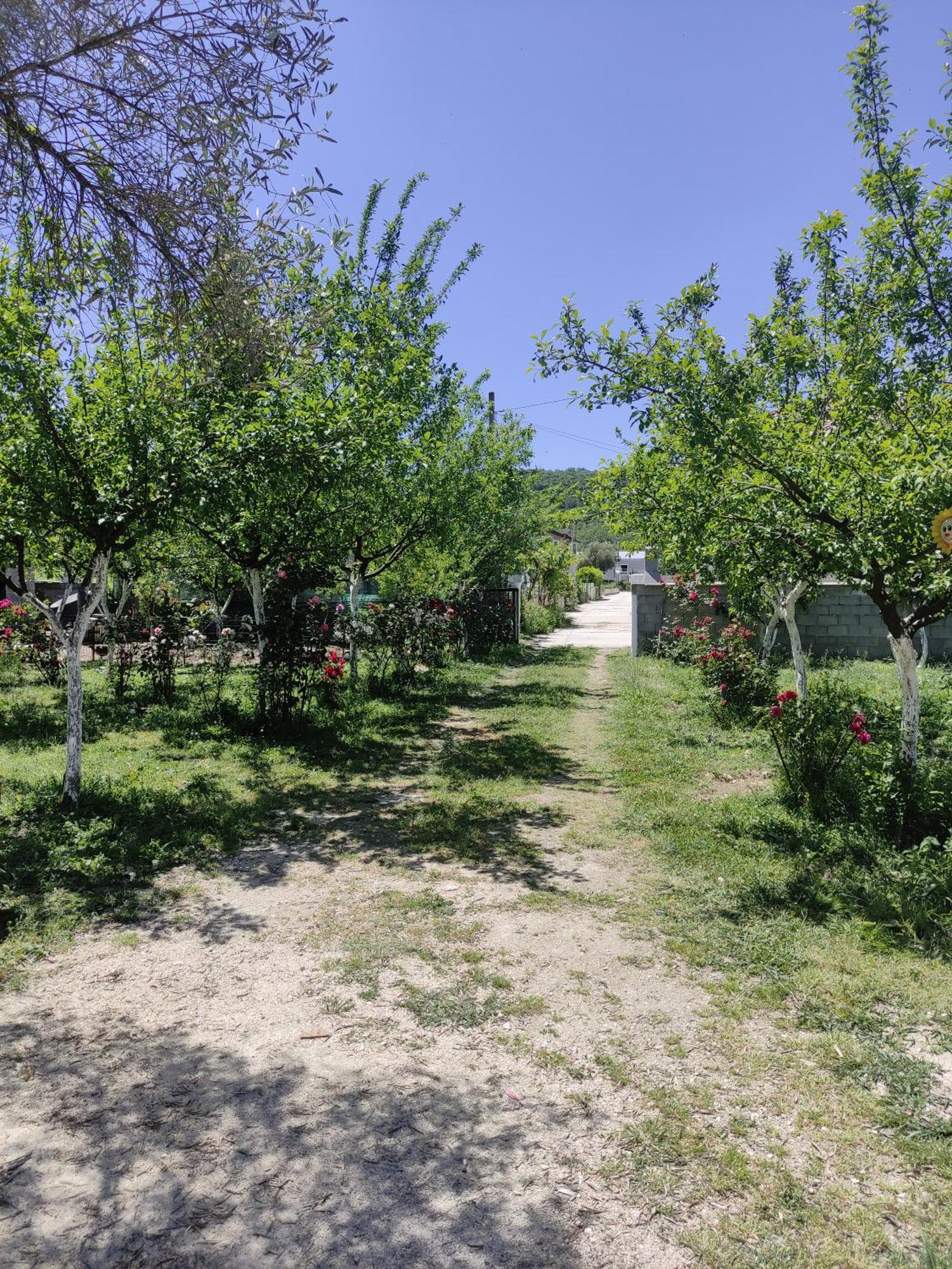 Green Valley Kotor Zewnętrze zdjęcie